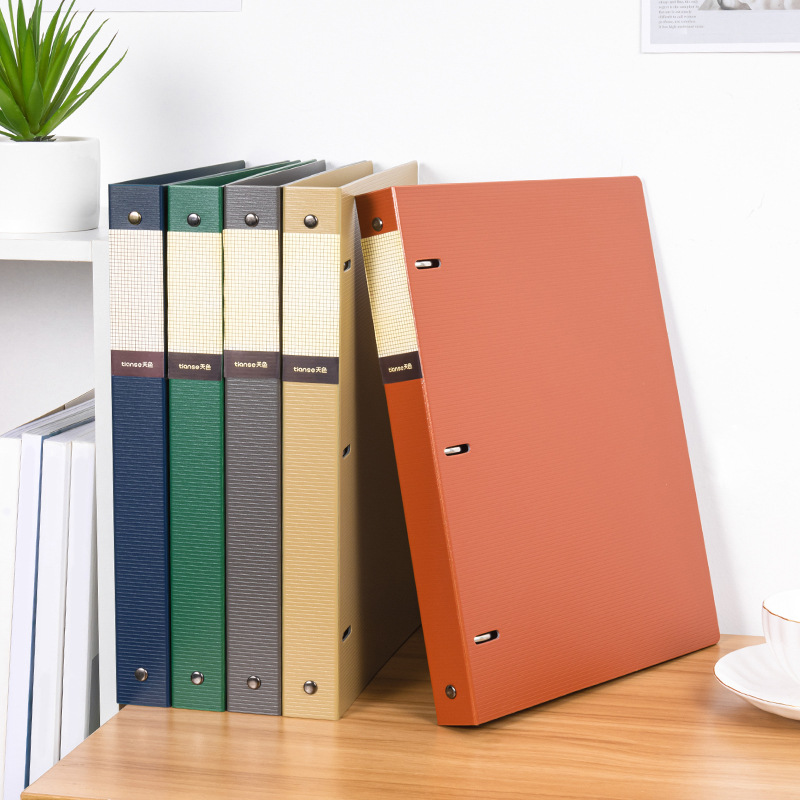 منظم مستندات A4 بثلاث فتحات وح - مراجعة Binder Clip Assorted وسعره